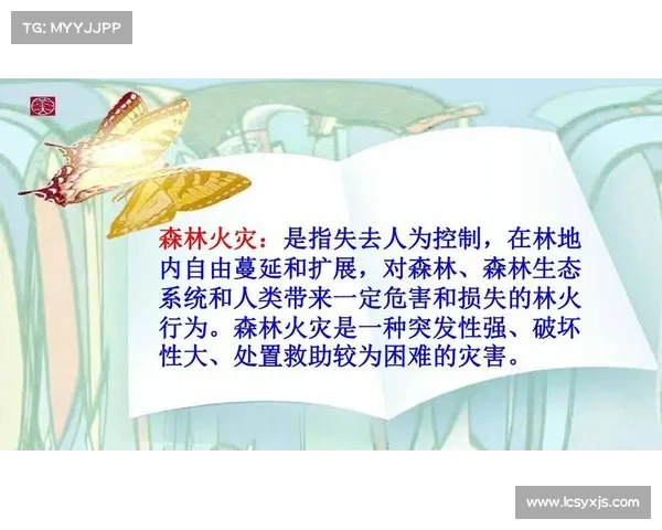 破火诀修炼的多重效益与提升修为的关键作用解析